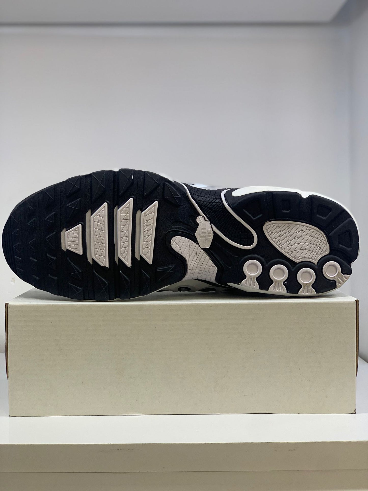 Nike Air Max Plus "Black & White Flame"